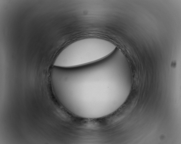 X0000103420601200809121014
