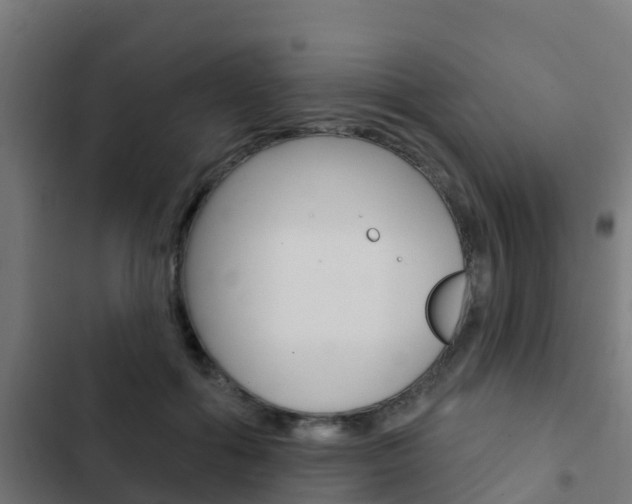 X0000103420602200809121014