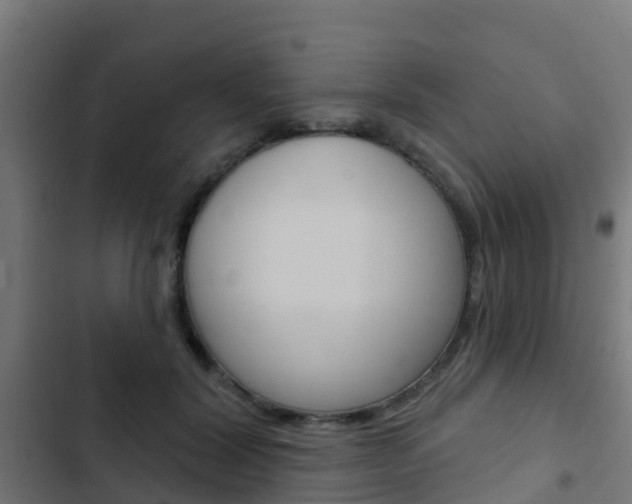 X0000103420604200809121014