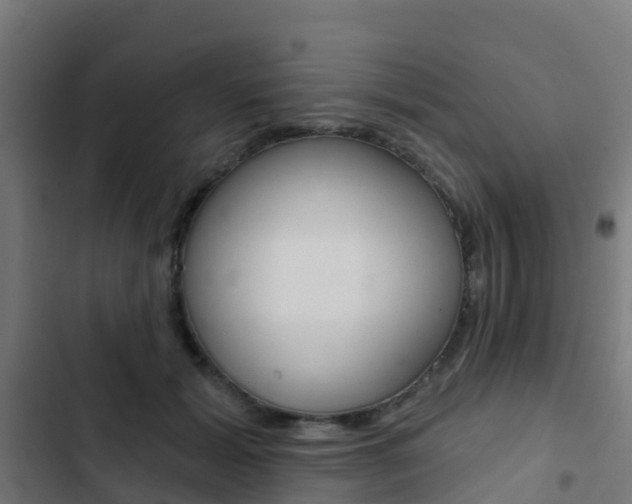 X0000103420605200809121014