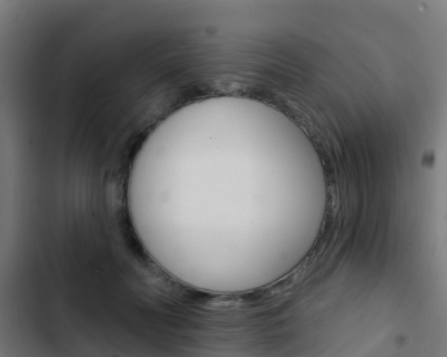 X0000103420606200809121014