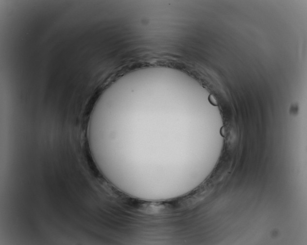 X0000103420607200809121014