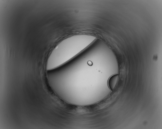 X0000103420608200809121014
