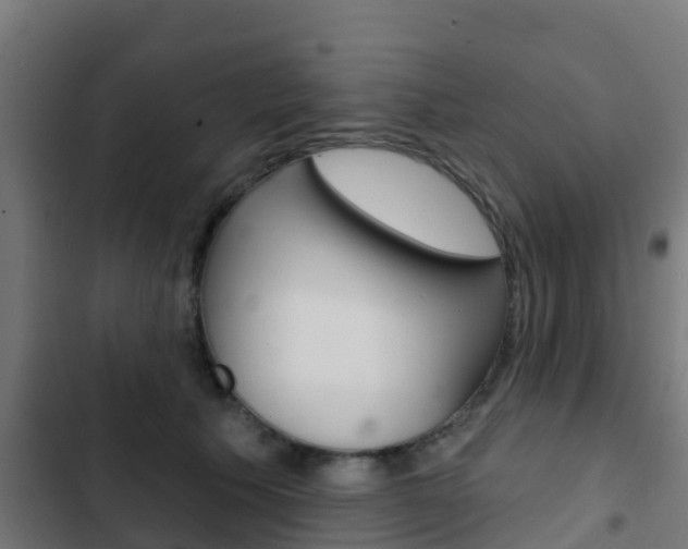 X0000103420609200809121014