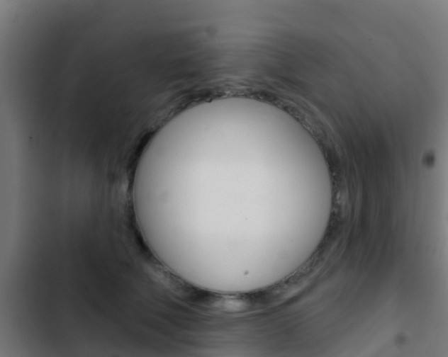 X0000103420610200809121014