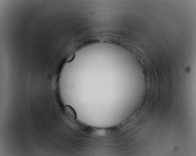 X0000103420611200809121014