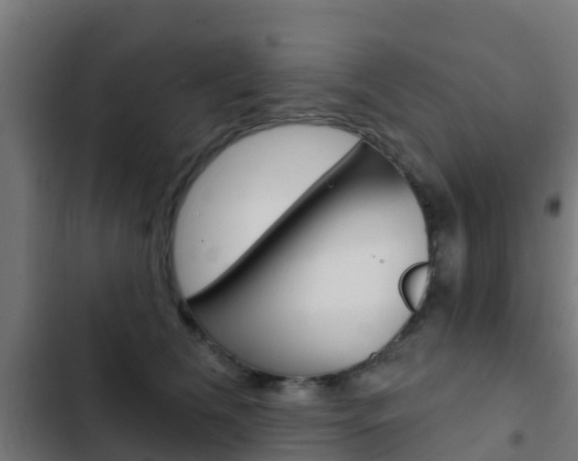 X0000103420612200809121014
