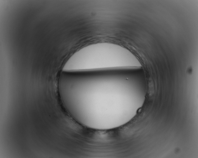 X0000103420613200809121014
