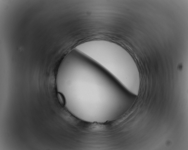 X0000103420617200809121014