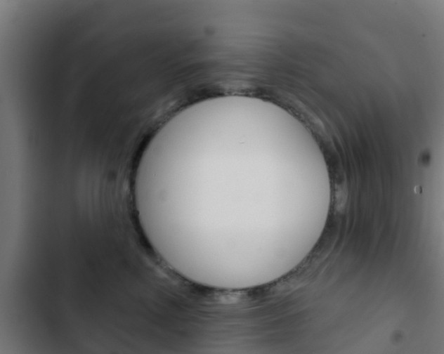 X0000103420618200809121014