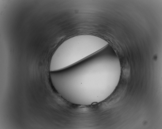 X0000103420620200809121014