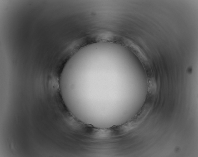 X0000103420621200809121014