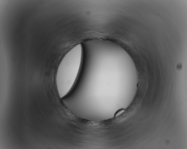 X0000103420624200809121014