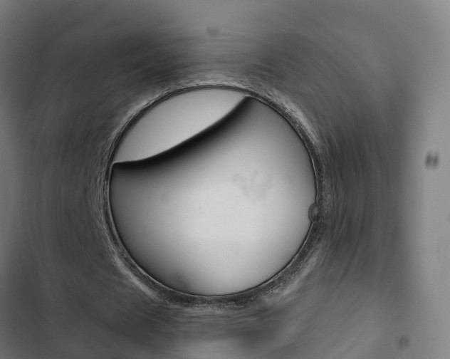 X0000103420625200809121013