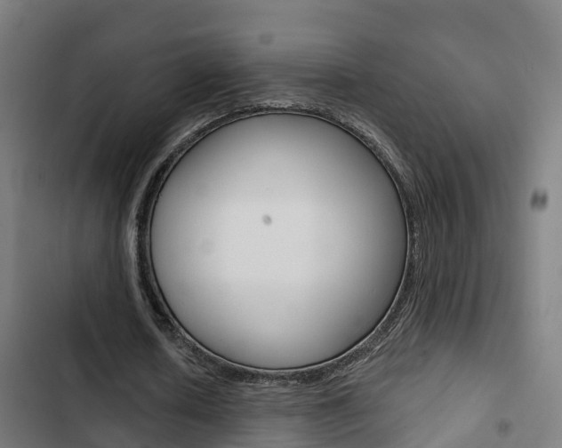 X0000103420626200809121013