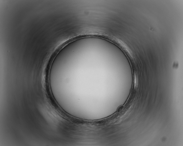 X0000103420627200809121013