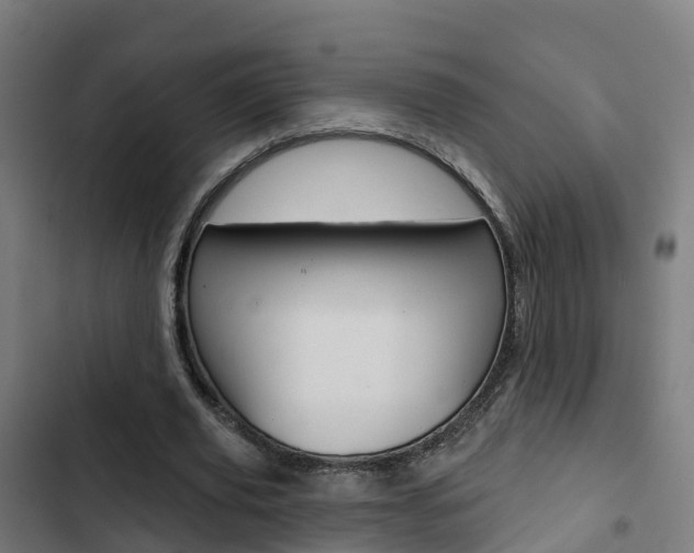X0000103420629200809121013