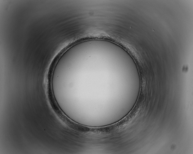 X0000103420630200809121013