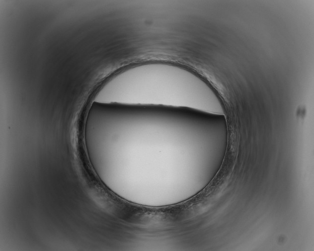X0000103420631200809121013