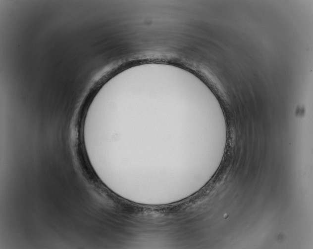 X0000103420632200809121013