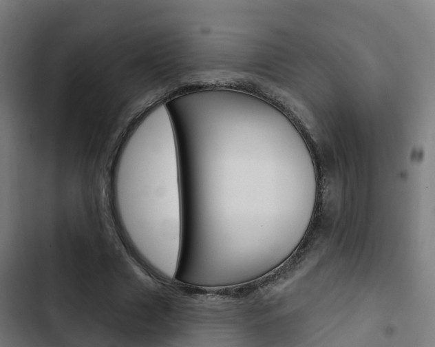 X0000103420633200809121013
