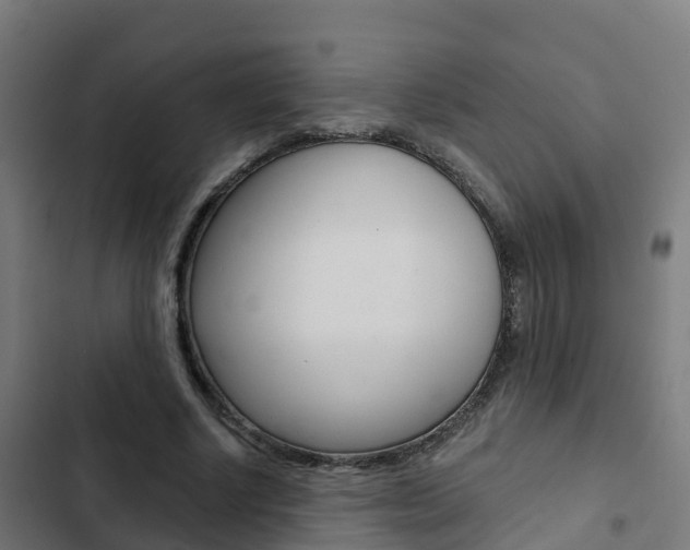 X0000103420634200809121013
