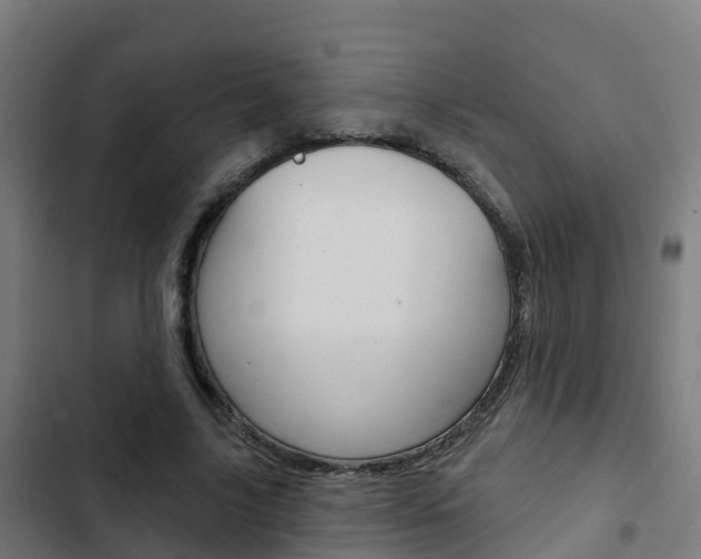 X0000103420635200809121013