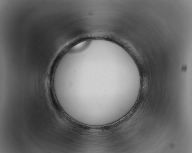 X0000103420636200809121013