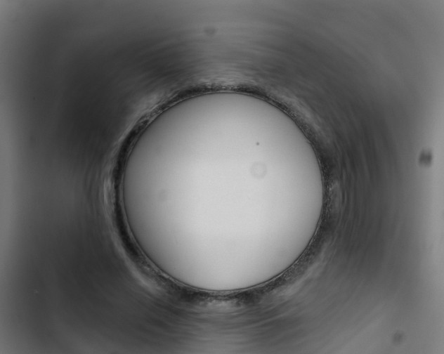 X0000103420638200809121013