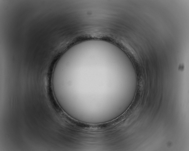 X0000103420639200809121013