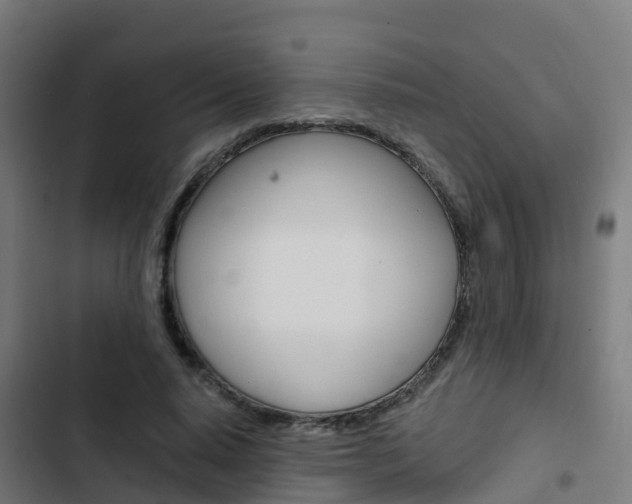 X0000103420640200809121013