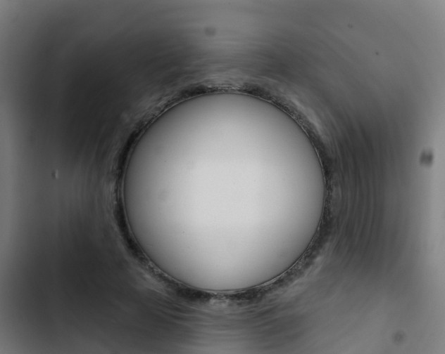 X0000103420641200809121013