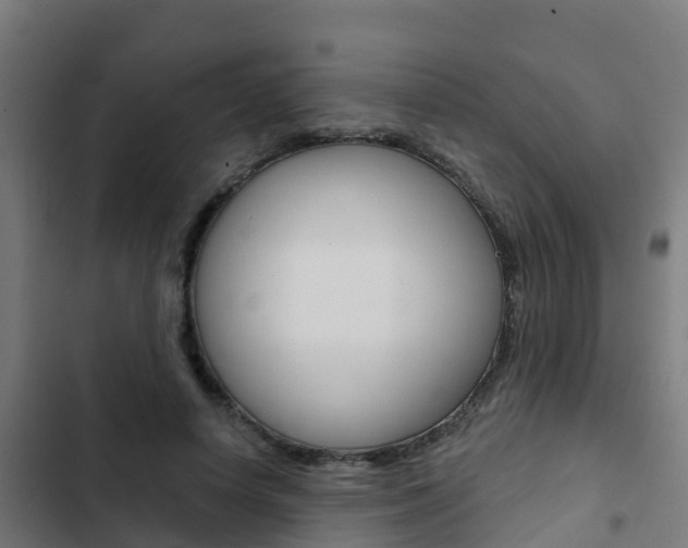 X0000103420642200809121013
