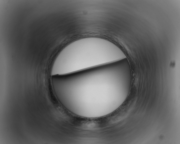 X0000103420643200809121013