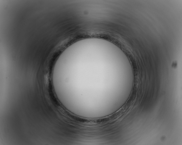 X0000103420644200809121013