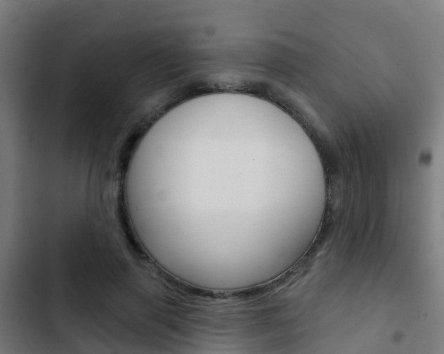 X0000103420645200809121013