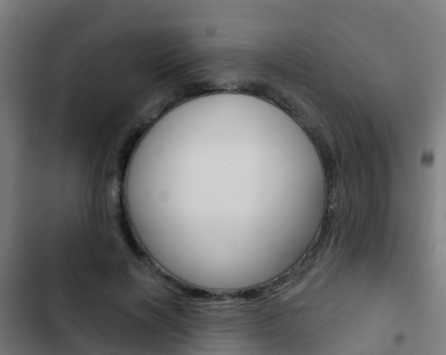 X0000103420646200809121013