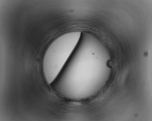 X0000103420649200809121013