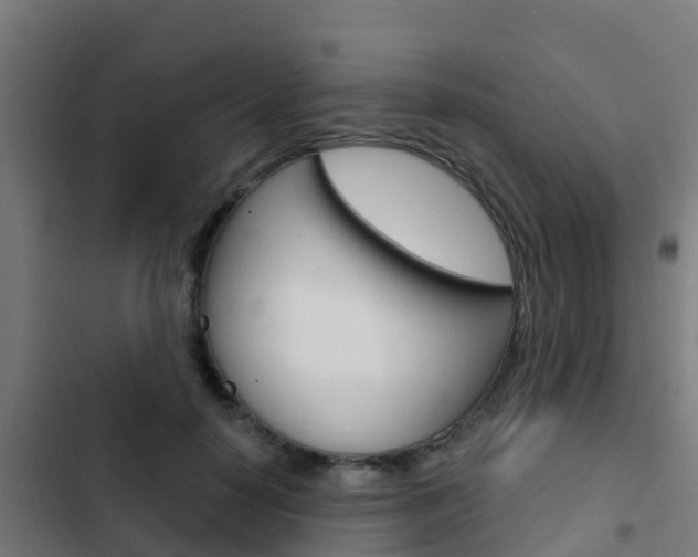X0000103420650200809121013