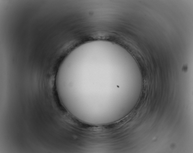 X0000103420652200809121013