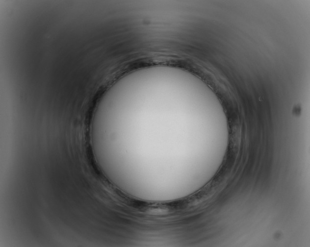 X0000103420653200809121013