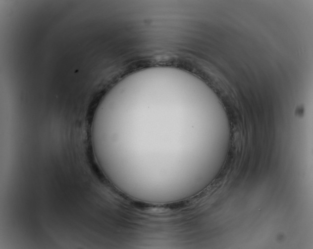 X0000103420654200809121013