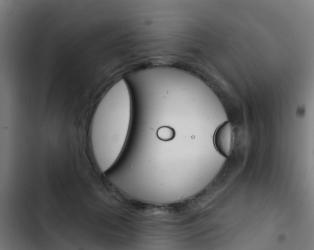 X0000103420655200809121013
