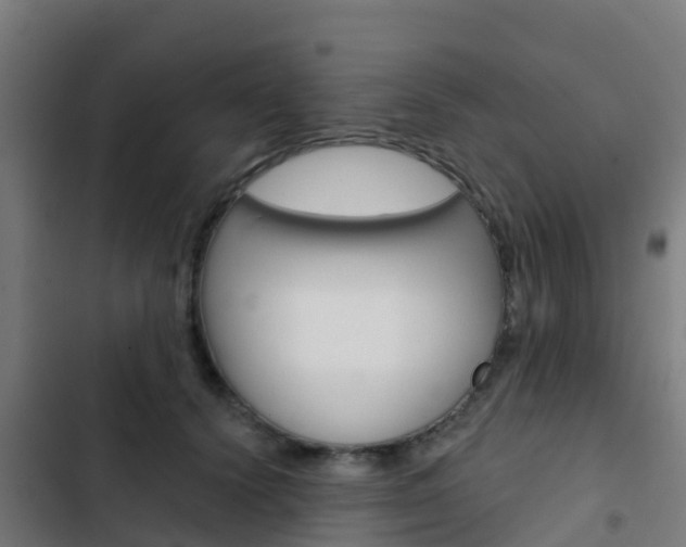 X0000103420656200809121013