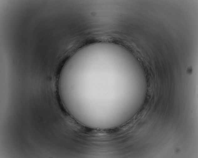 X0000103420658200809121013