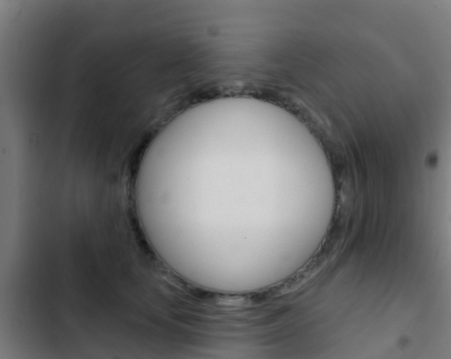 X0000103420659200809121013