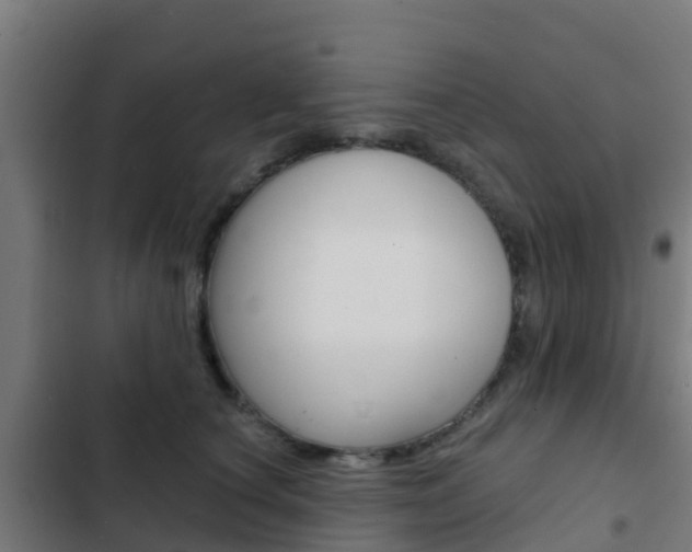 X0000103420660200809121013