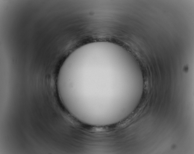 X0000103420662200809121013