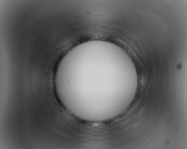 X0000103420663200809121013