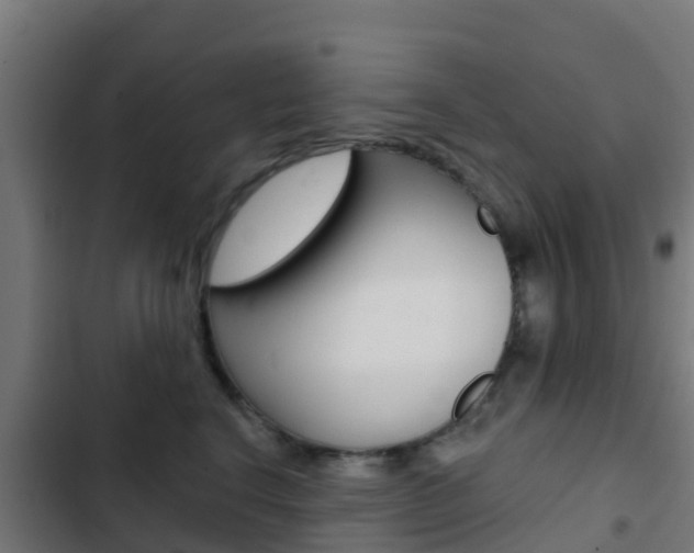X0000103420664200809121013